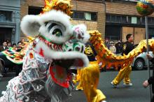 cny dragon lion